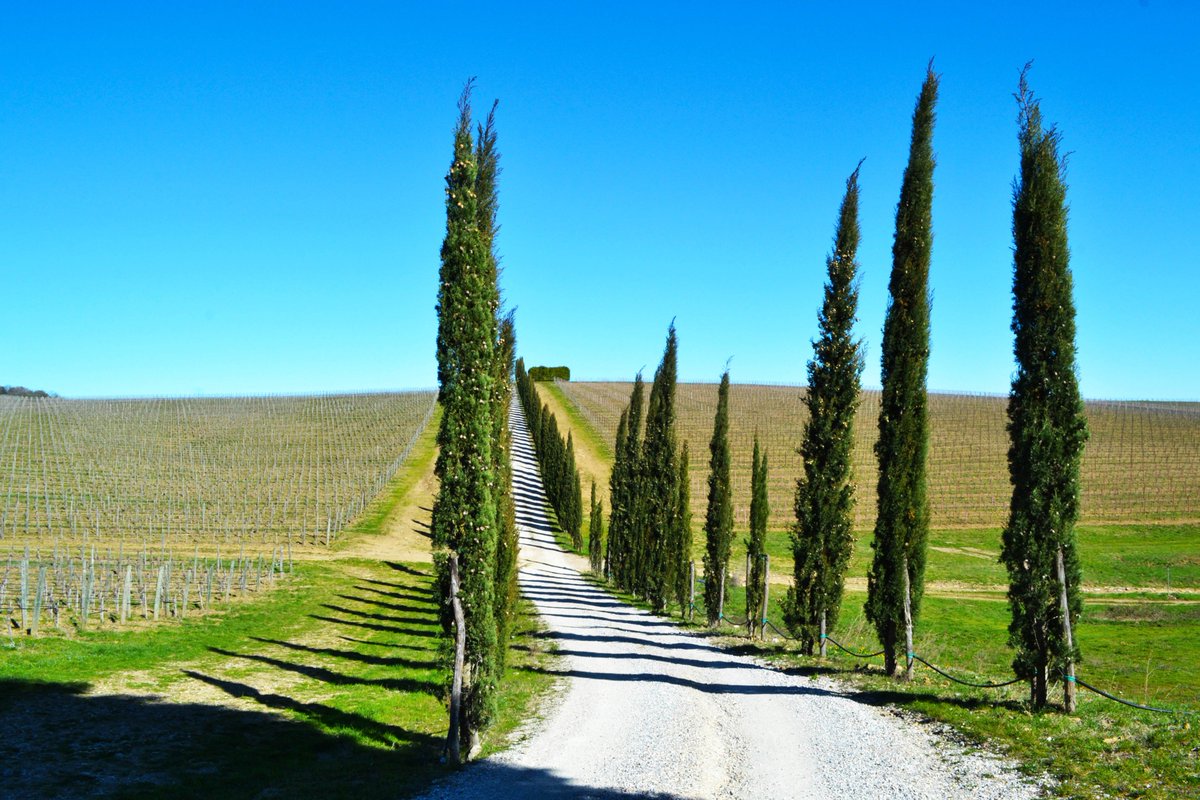 Pausa relax: Casa San Piero Rental in Chianti. valiseenunclic.com/2017/03/18/pau… <a href="/casasanpiero/">Casa San Piero</a> #siena #toscana #travelblogger #Travel