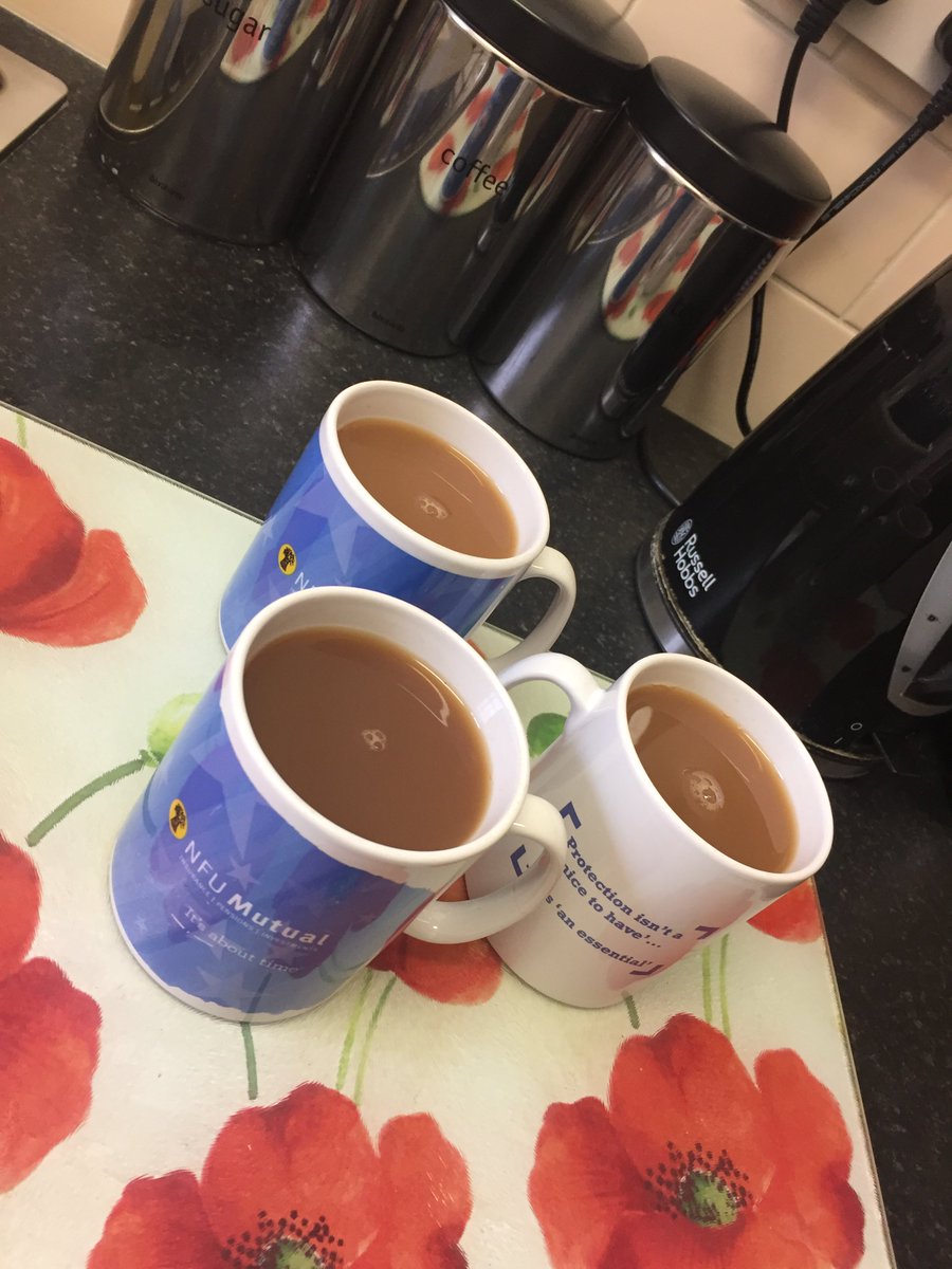 NFUM_MeltonM's tweet photo. It's the simple things that make our office happy! #InternationalDayofHappiness https://t.co/2hi9ffgqmC