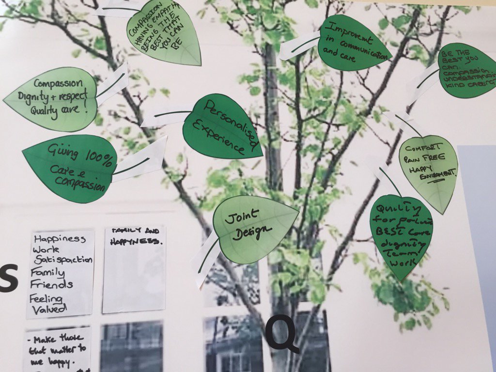 FionaMacNeill's tweet photo. #HBCCC Trees of Quality starting to bloom. People at the centre of care. https://t.co/oskHY1N6o0
