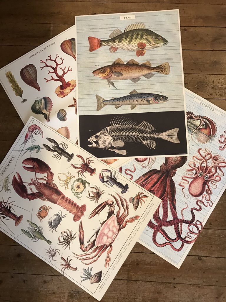 Seaside poster/wrapping paper #seaside #poster #wrappingpaper #SHOP #normanroad #stleonardsonsea