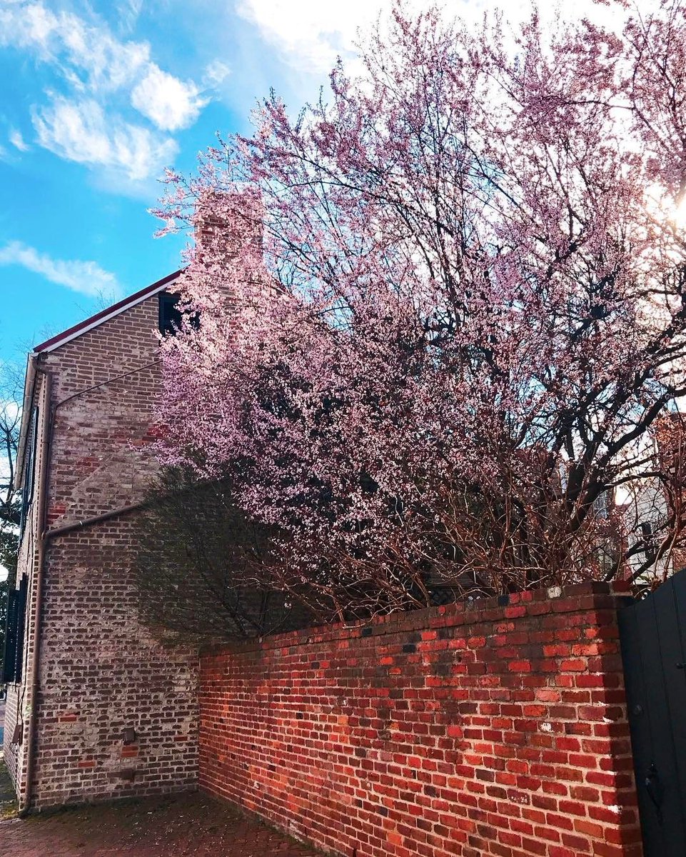 Old Town Alexandria, VA Patch Breaking News, Local News, Events