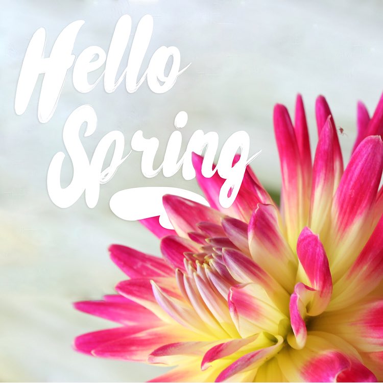 GreekLifeGirls's tweet photo. March 20th is the first day of Spring! The wait is finally over! Warm weather is just around the corner and we couldn't be more excited! https://t.co/nxm6TvG0za