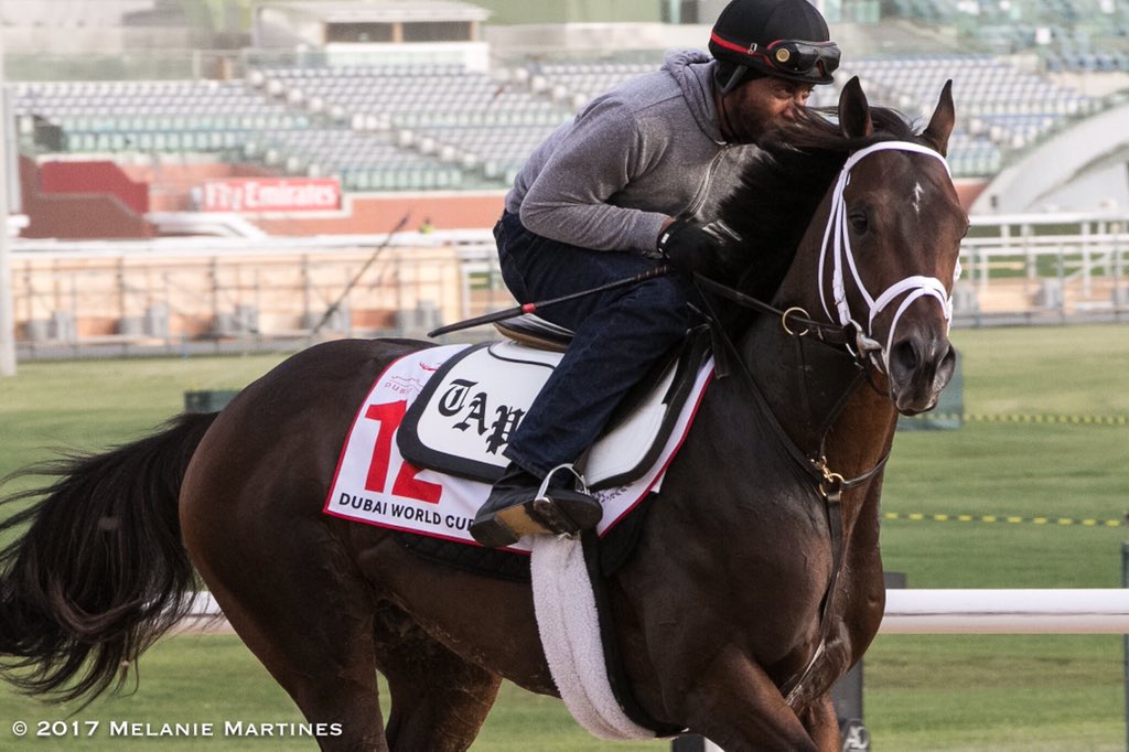 SkimTheRail's tweet photo. I felt like Neolithic look our way the entire time he ran by us this morning!! 📸🤣😁 #DubaiWorldCup @TwinSpires @DWC_Meydan @DRC_Meydan https://t.co/Av7gfpUHmg