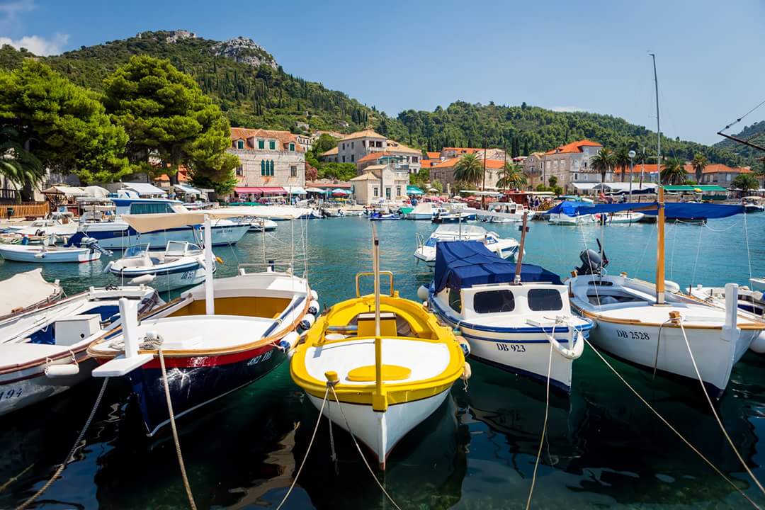 DubrovnikTB's tweet image. Stunning capture of the Lopud island...
#lopud #lopudisland #elaphiteislands #dubrovnik #lovedubrovnik #croatia #croatiafulloflife
