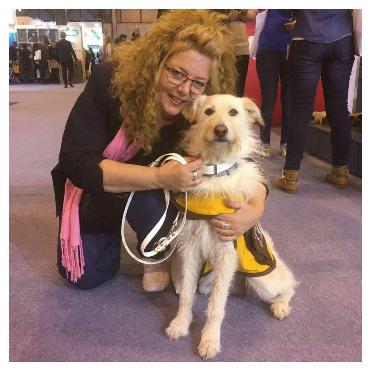 La mejor cosa que me traje de <a href="/IberzooPropet/">Iberzoo+Propet</a>: conocer a Maggie del maravilloso proyecto <a href="/dogtoranimal/">Dogtor Animal S.L.</a> #DiaDeLaFelicidad #FelizLunes #mestizo