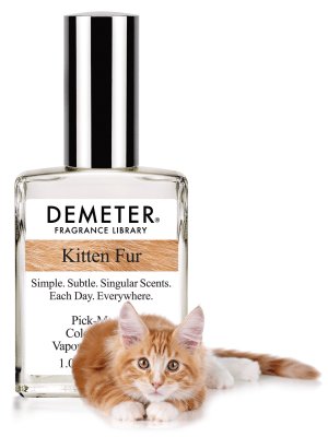 IsabelleAndover's tweet image. A fragrance that smells like kitten fur parisiankitty.wordpress.com/2017/03/20/a-f…