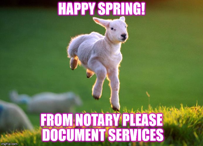 notaryplease's tweet photo. Spring is here! A good time to get started on your #Apostille & #Legalizations tom@notaryplease.com 631-988-6870 https://t.co/yaSiLujDKI