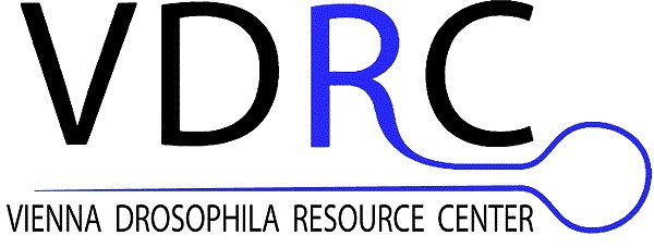 VBCF_Tweets's tweet photo. #VDRC #VBCF @viennabiocenter is looking forward to #DROS17 Annual #Drosophila Research Conference. Visit us at exhibition booth 214! https://t.co/wkG3Df05JJ