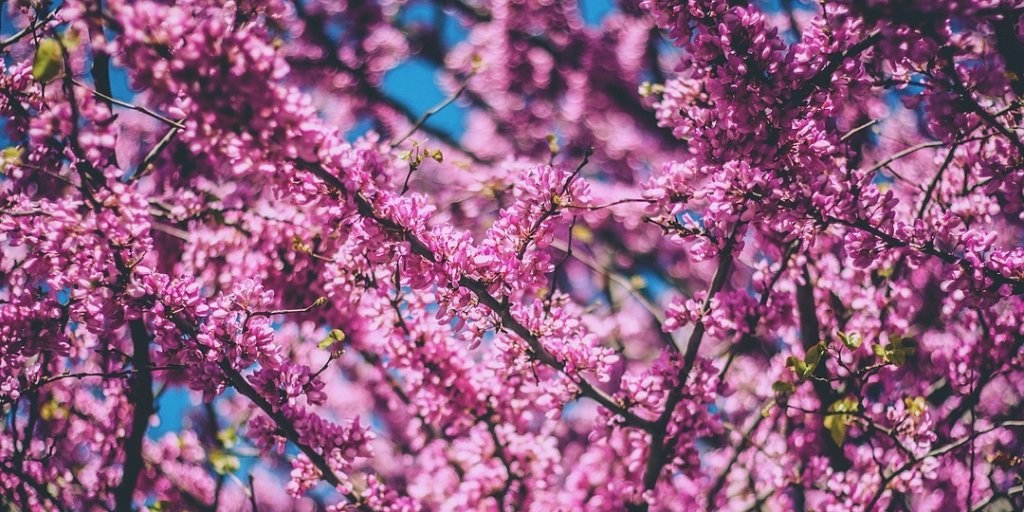 Hello, Spring! We're glad you're here.