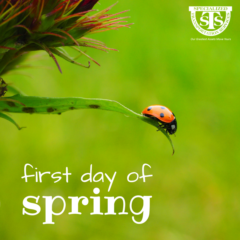 STStrucking's tweet photo. Happy First Day of Spring! What's your favorite thing about springtime? #Spring #FirstDayOfSpring https://t.co/oZVJ5bjmbu