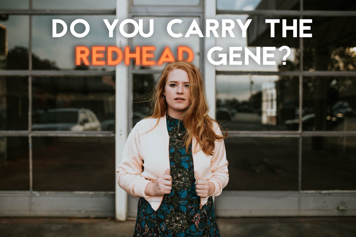 myDNAglobal's tweet photo. We're the only #Ancestry #DNA company that tests for 33 red-hair colour variants. Learn more > https://t.co/0L3VIfJK1Q https://t.co/XdksyDpbU9