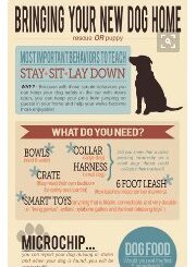 Tierradanimales's tweet image. #TipsTDA  como incluir un nuevo perro en el territorio de tu perro