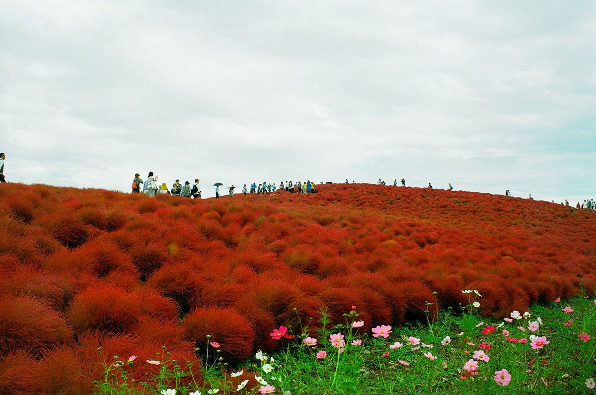 Altama Sidarta takes us on a journey through Japan and its people. bit.ly/2mgKORP #LeicaM #InspirationSehen