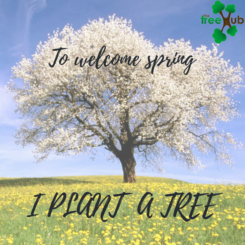 TheTreeHub's tweet image. Nous fêtons le Printemps et la Journée de l'arbre!
Pour planter un arbre: thetreehub.com/projets/nos-pr…