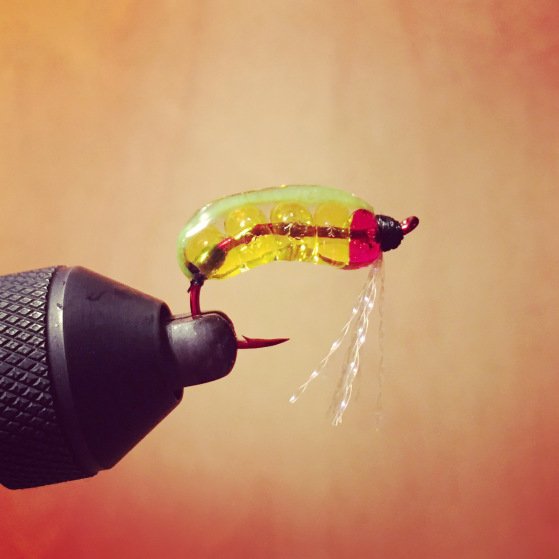 DoubleHauled tweet media