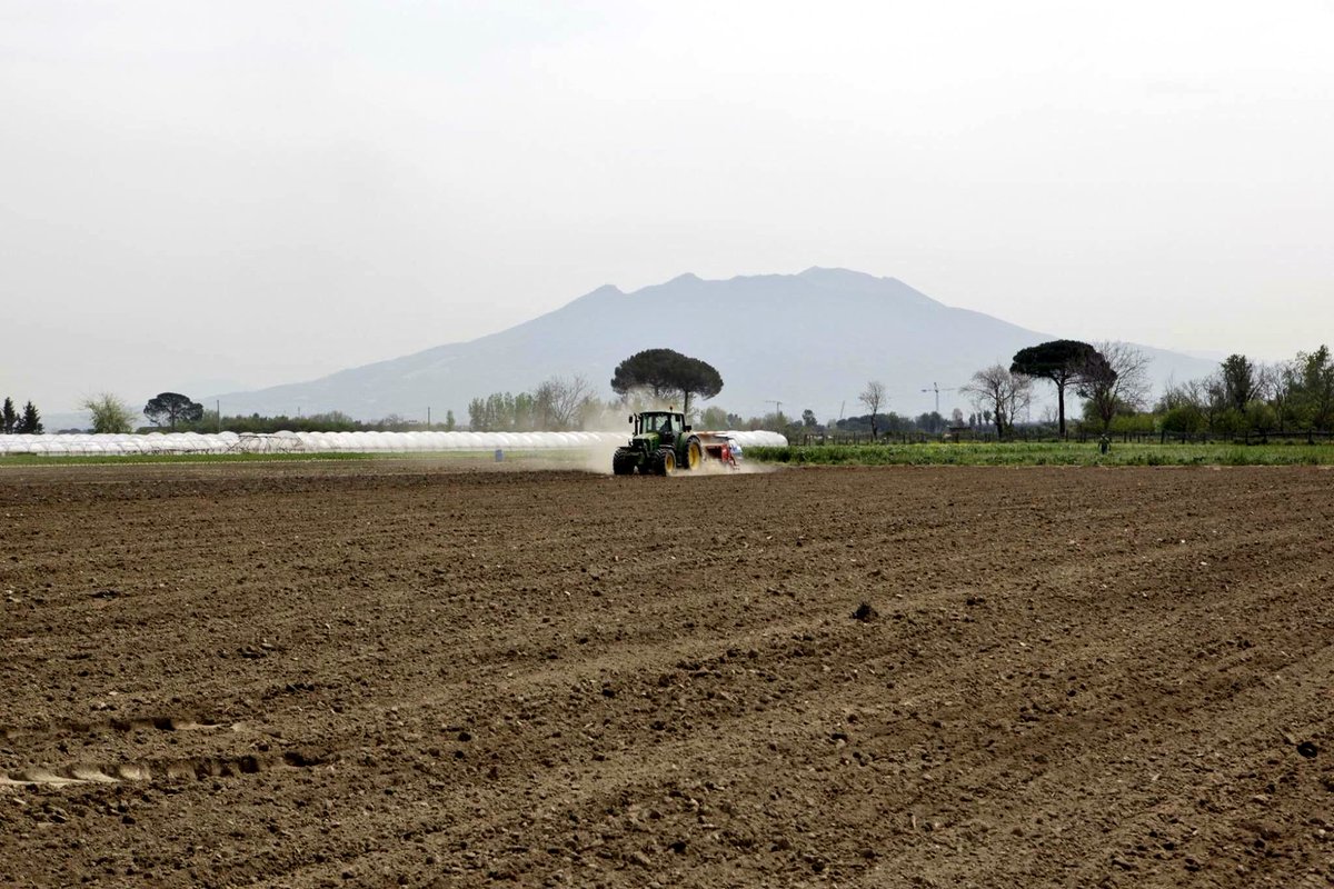 HempFarmLab's tweet photo. Tre cos vò 'a campagna:bona stagione,bona semmenta e bbuono zappatore.
Semina Canapa 2017
#agricolturasostenibile #hemp #biodiversità #green https://t.co/juQYBW4RQH
