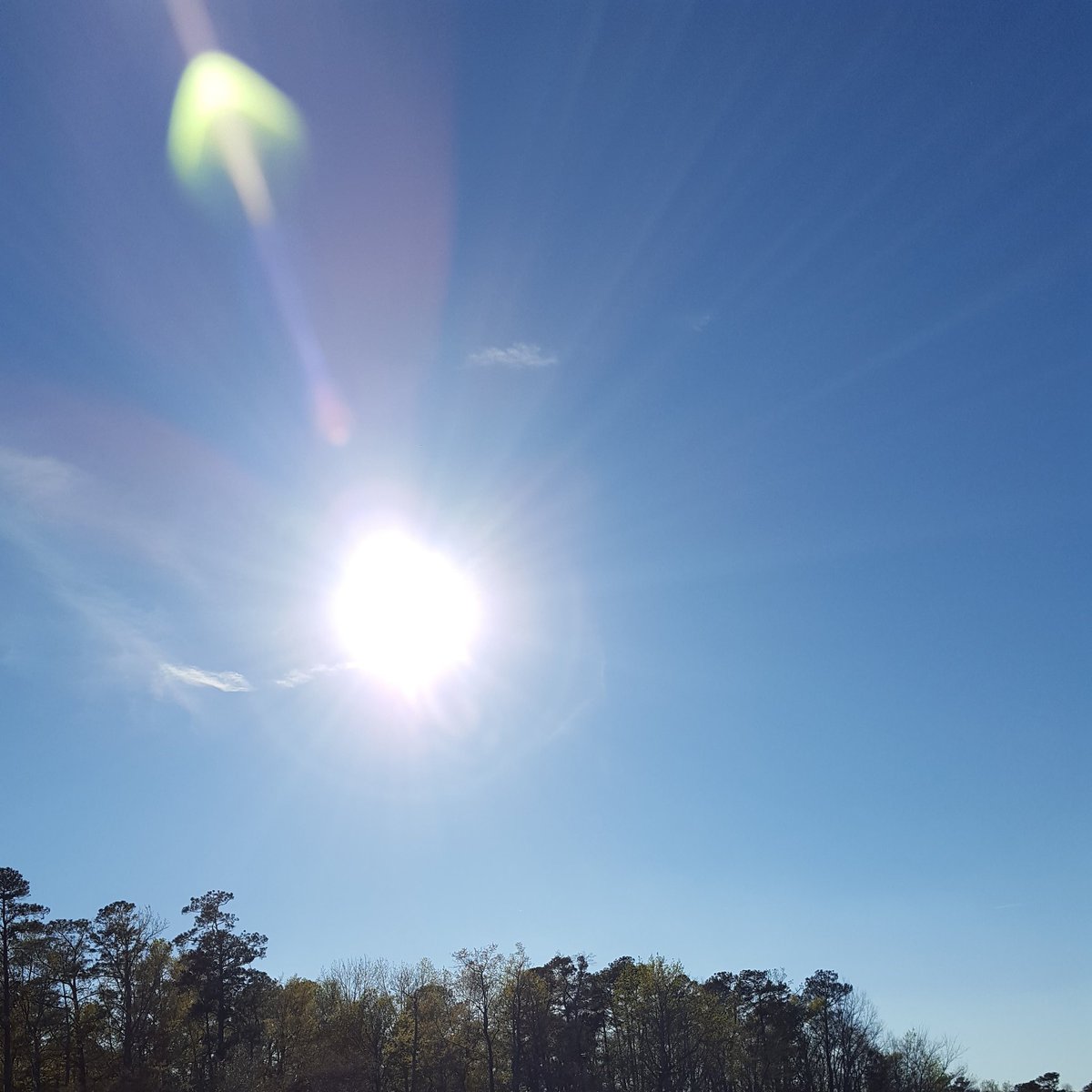 nanajofletcher's tweet photo. #arrow #uparrow #Jesusistheway #thiswaytoGod #springbreak #santee #santeestatepark #sky #southcarolina https://t.co/mgZAaQfU2t