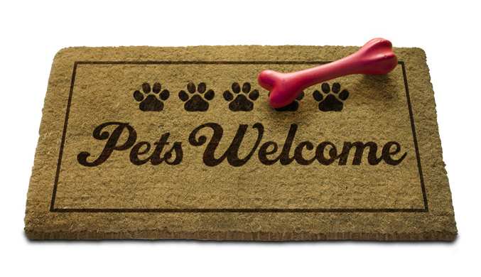 DENSinDacorum's tweet photo. DENS Lettings, has helped one of our clients move into a property with their dog #letswithpets https://t.co/bj4szRuSZ8