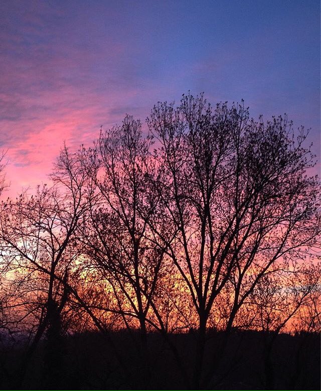 Anche il cielo si colora di primavera! Buona settimana con questo scatto di <a href="/andrewag26/">HALKALI TRAVESTİ DİLARA</a> .
• #igerspu
• #igersmarche • #igersitalia
