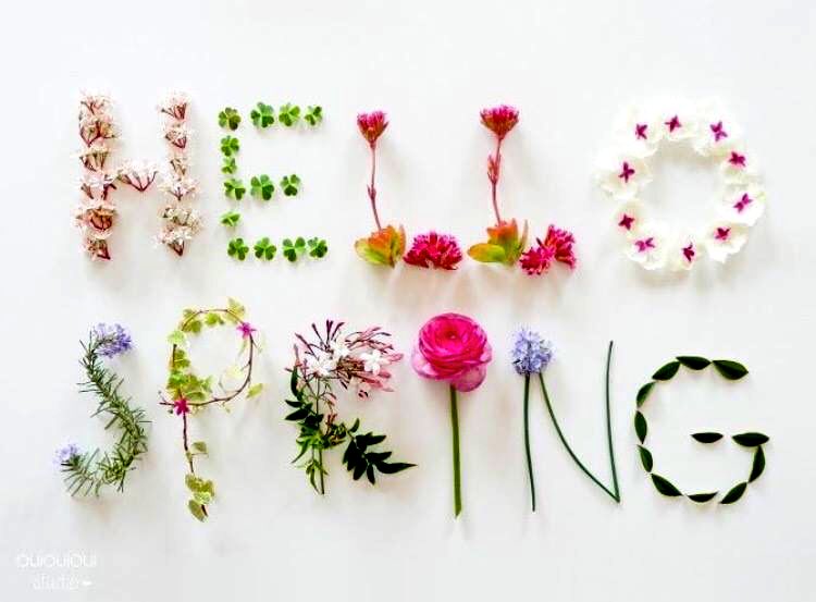 1refuge's tweet photo. Who else is thankful that it's the first day of Spring?! 🙌🌷🌿 https://t.co/IChQ9QsHT0