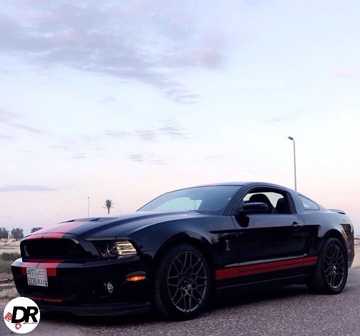 DammamRacing's tweet photo. .
. Owner: @Aqeel_r8
.
.
الراعي الرسمي لهاذا الشهر 🌟👇🏻
.
سيراميك برو الشرقية يقدم لكم العديد من الخدمات في مجال الع… https://t.co/EIueNa2rJa