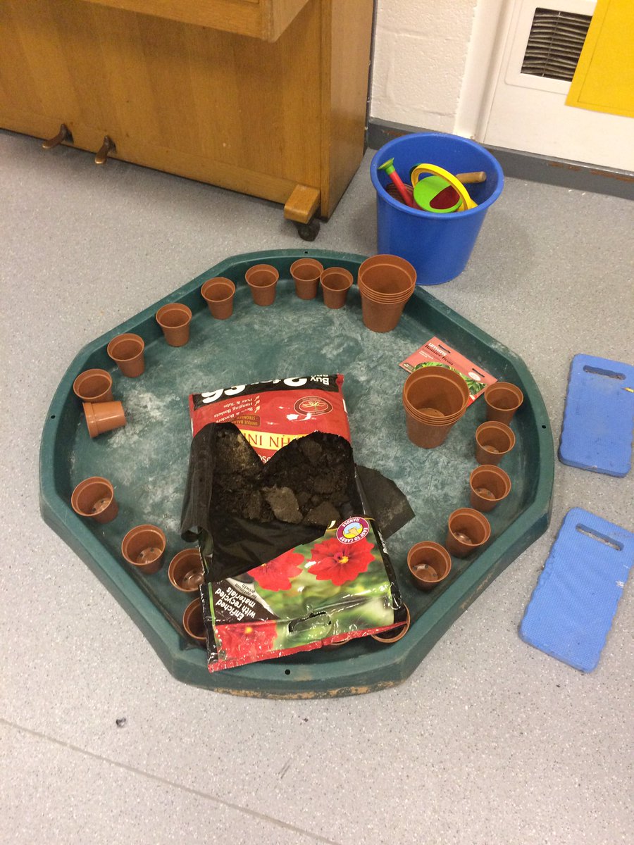 hannahkirk84's tweet photo. Science week showcase all ready #planting #lifecycleofabean #gingerbread #waterproof https://t.co/Fyp7BqmtiA