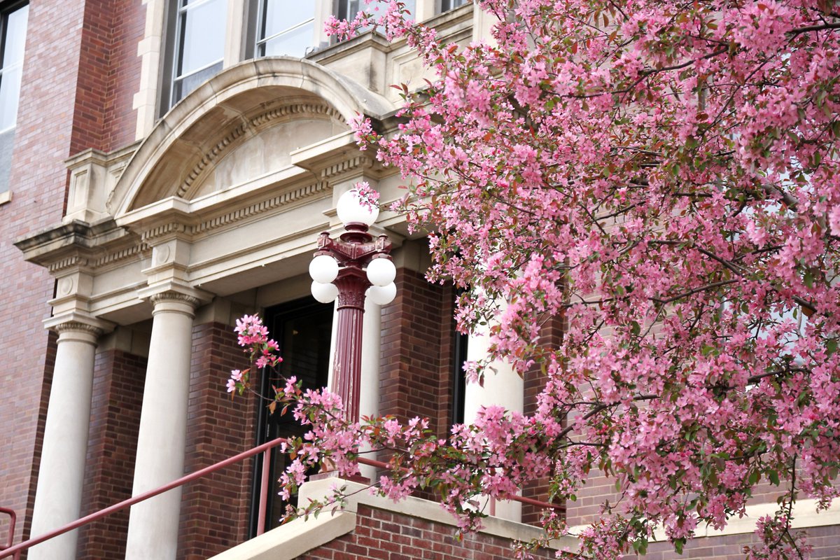 Minotstate's tweet image. Happy vernal equinox! The trees will be blooming in a few short weeks! #springbreaksover #firstdayofspring.