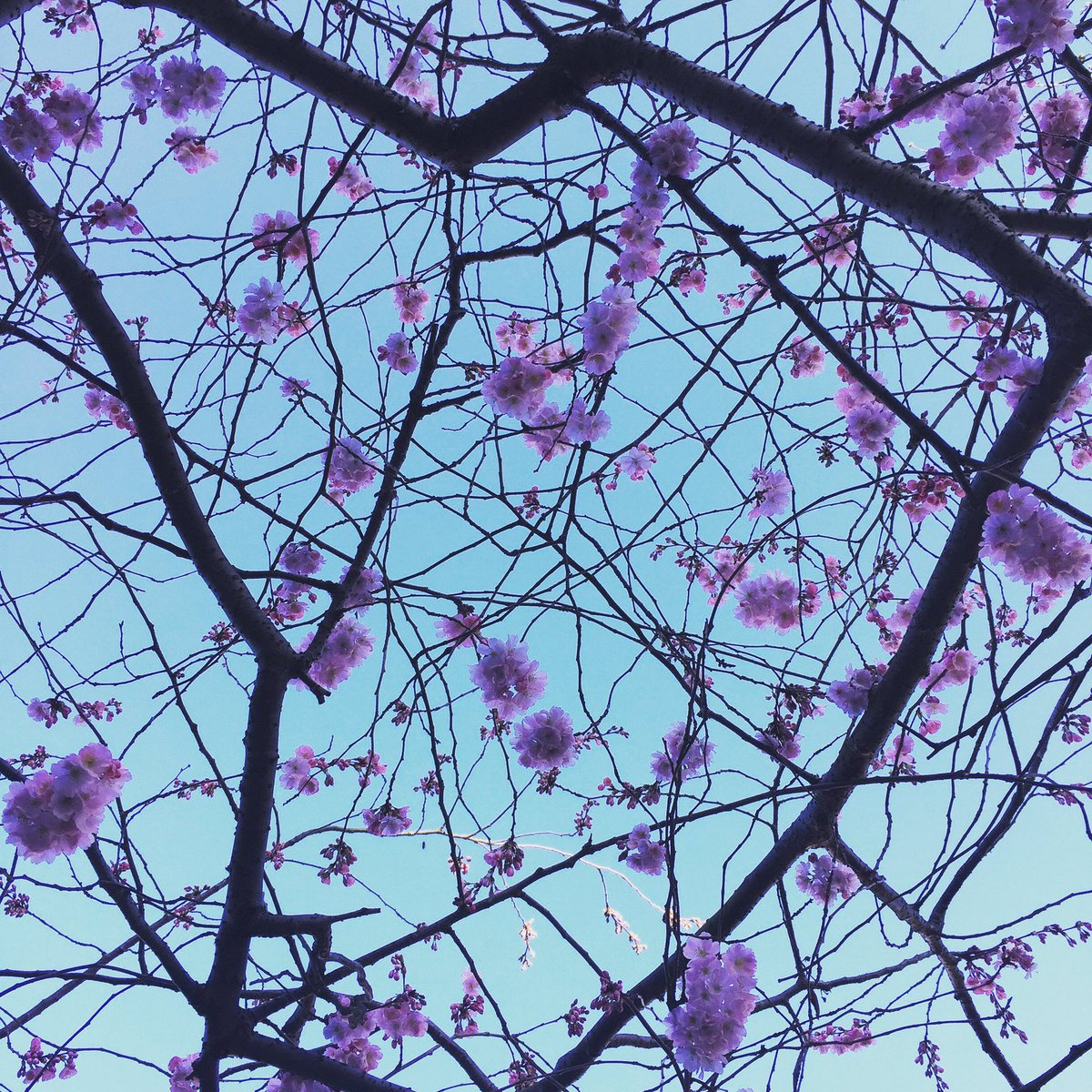 forbeslaundry's tweet photo. Goodbye winter, hello spring. #mondaymotivation #springequinox https://t.co/42f7YQdmrw