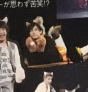 春松竹 3/20夜】猫中毒 正門くん、いつもの寝転んで膝を立てるポーズ