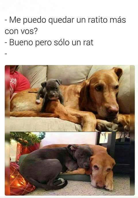 Vanividi's tweet photo. 😊 https://t.co/uOgP9KdGFZ