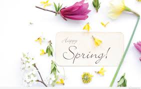 Happy #Spring from your friends at #ChristmasDecor!