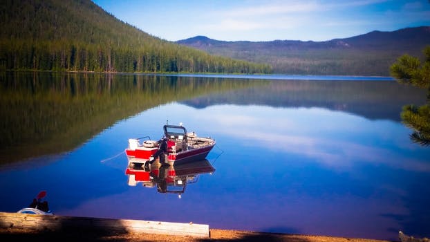 boatsdotcom's tweet photo. "No winter lasts forever; no spring skips it's turn." #MotivationMonday #Mondaymotivation #inspiration #firsdayofspring https://t.co/bQTNiWbQZE