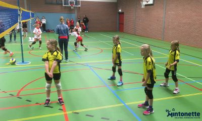 Holtenextra's tweet photo. Extra zonnige dag voor Mintonette N3 https://t.co/0QFKmnCX6M https://t.co/vfSAjqniUv