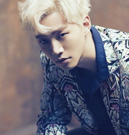 junho & his cats (@junhocats) | Twitter