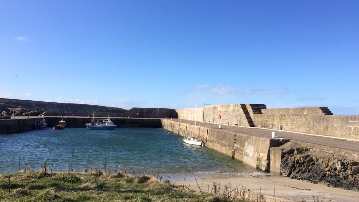 Took Simba out with Gran x