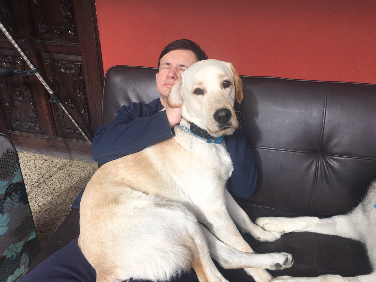 GuatsUpNobles's tweet photo. Final cuddles with Charlie, the hotel pup. https://t.co/G8IllCPupz