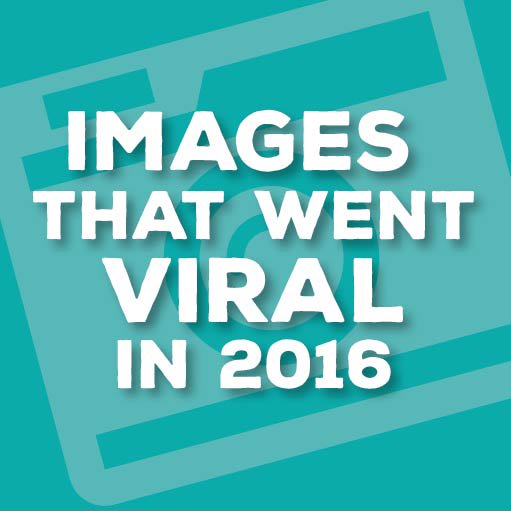 DoodlebugDogs's tweet photo. 80% of #content is going to be visual by 2018! See the images that caught our eye in 2016.  https://t.co/Qcqt7lKU8E https://t.co/BtS8faJ2t1