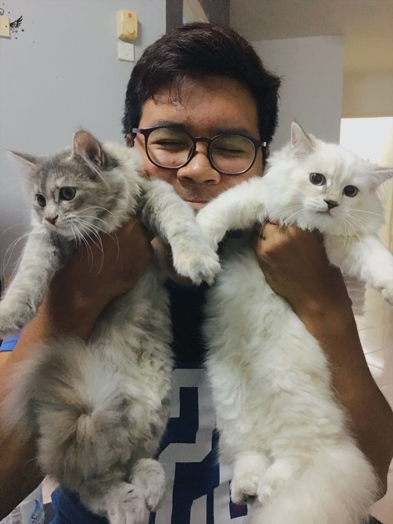 mnmnur's tweet photo. 4month old Max and Lily. 😁 https://t.co/TgXSR9IjK2
