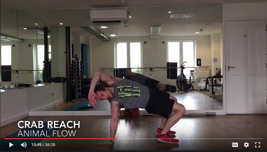 “Exercises that give you the best bang for your buck”? #GreenandLean Fitness Ambassador @theplantpowerPT shows how! ss1.us/a/1S8fEr5P