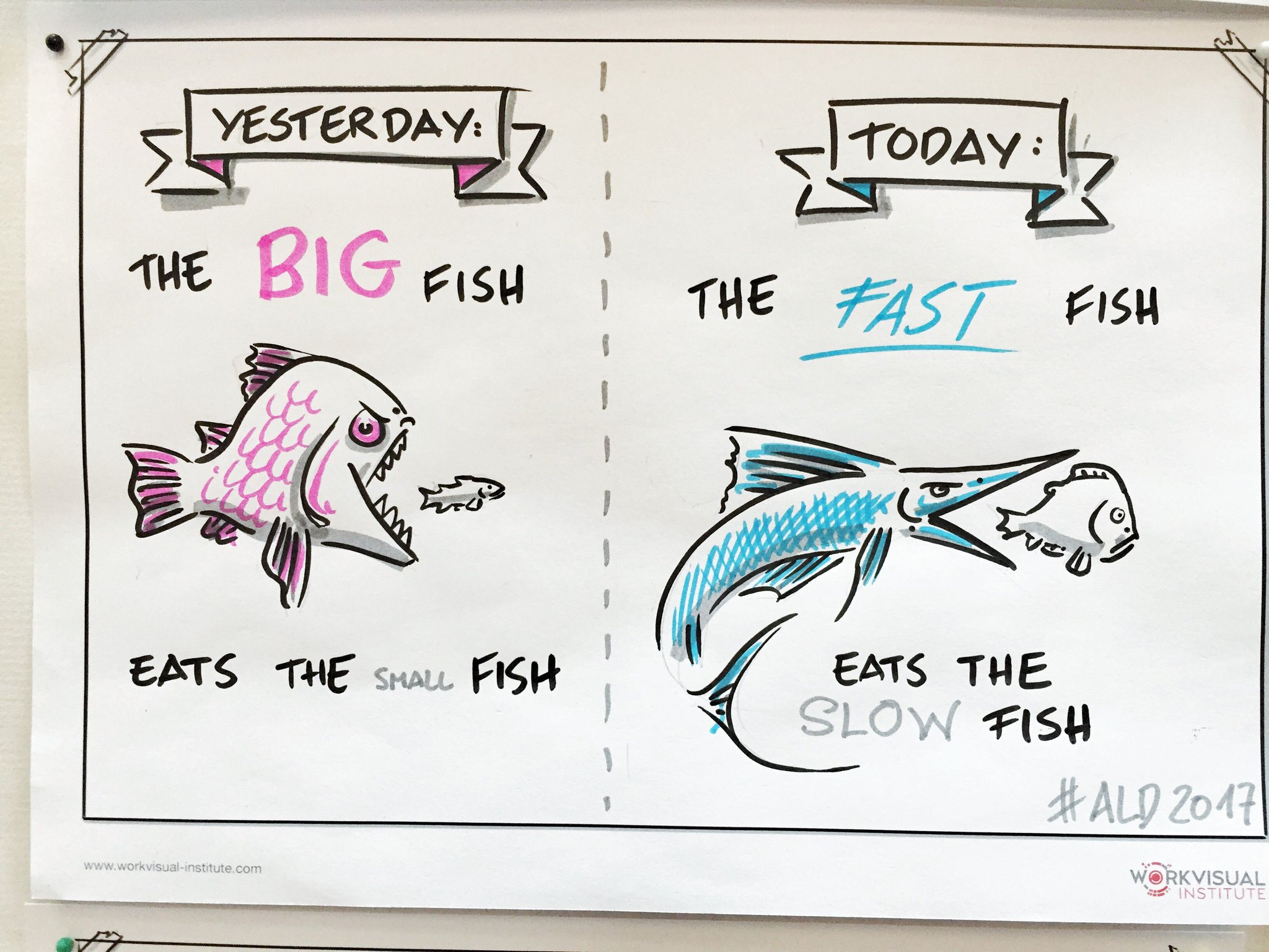 Holger Nils Pohl on Twitter: ""Today the fast fish eats