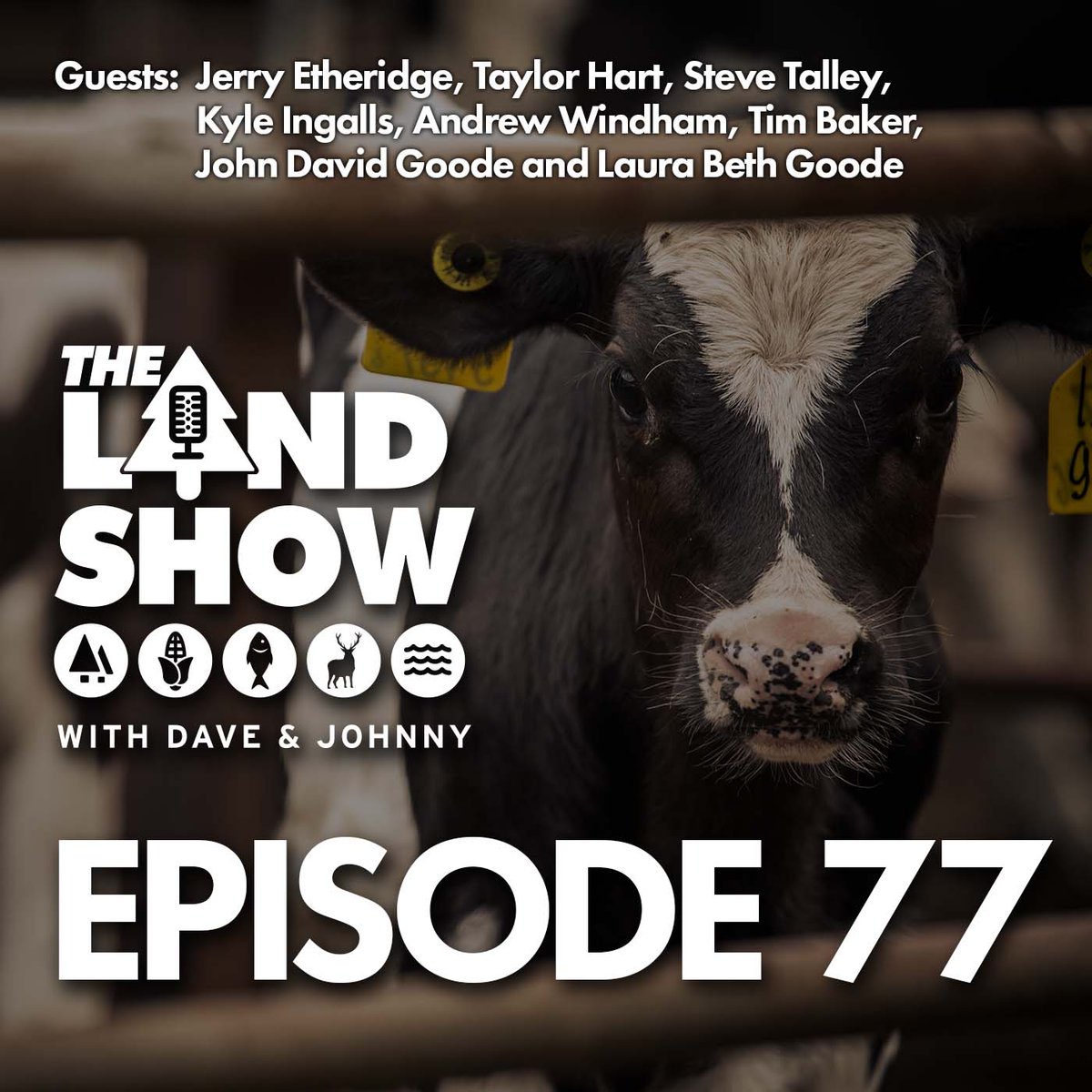 Check out our new episode of The Land Show! #TheLandShow thelandshow.com/2017/03/the-la…