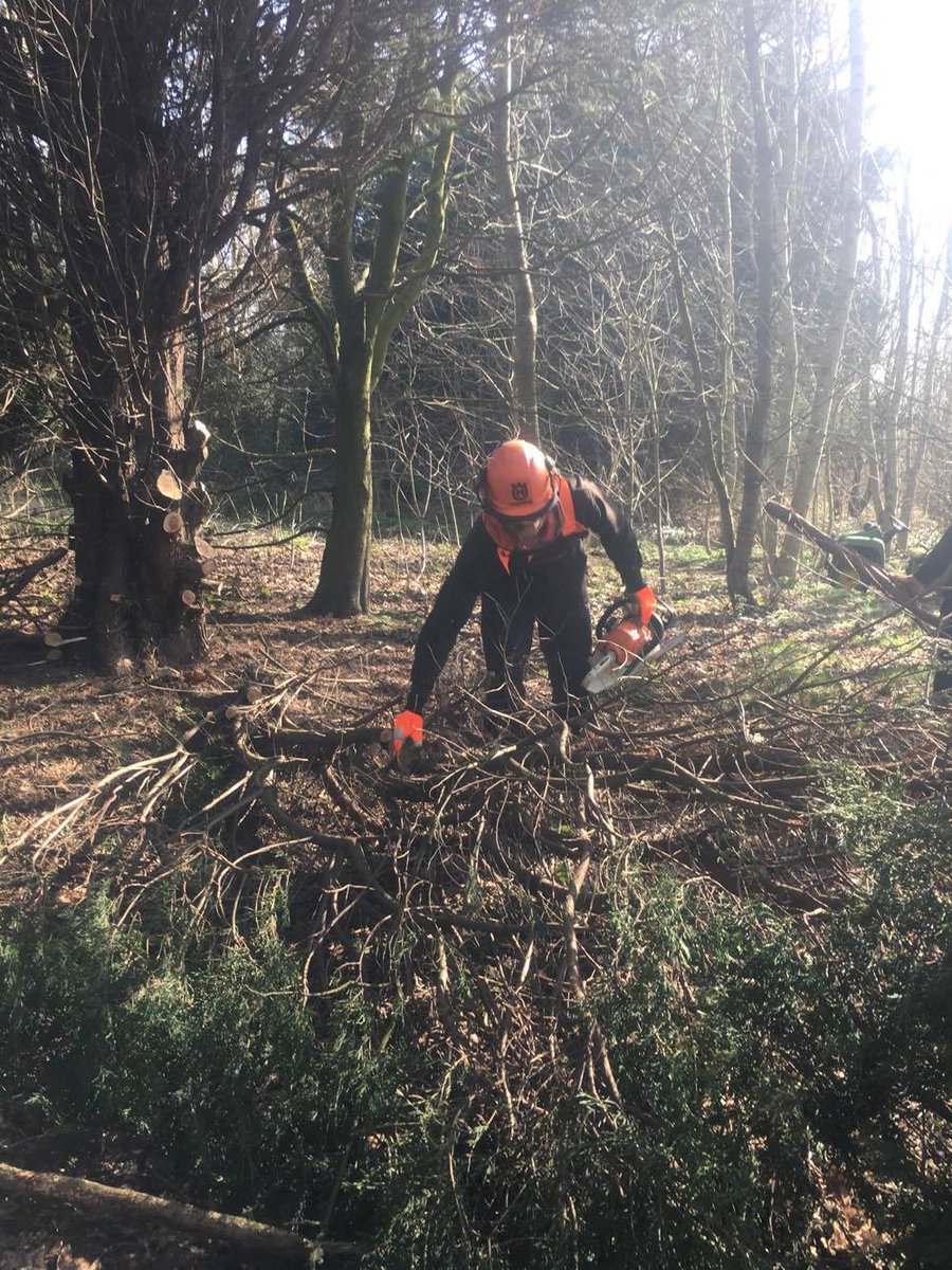 Cut down the diseased conifer tree at the 5th Green last week.
