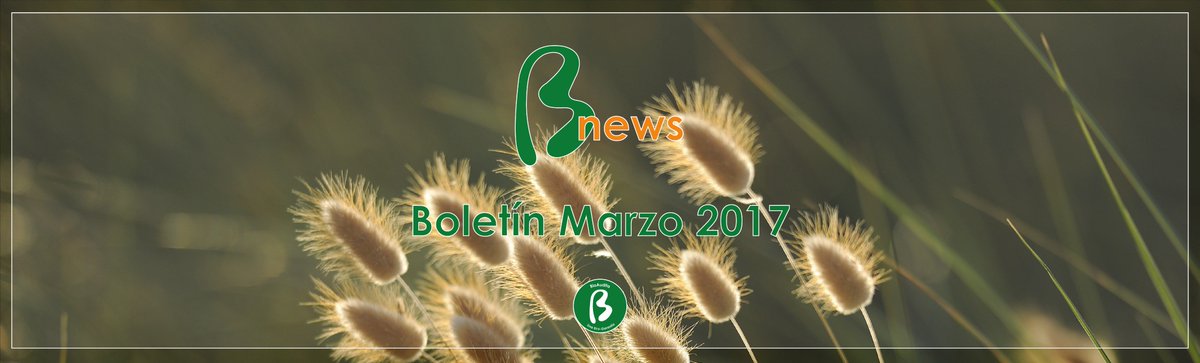 Bioaudita's tweet photo. Estimados ya esta disponible #Bnews Marzo 2017, le recomendamos que lo lean para resolver dudas y enterarse de noticias relevantes. https://t.co/NEQxanzPej