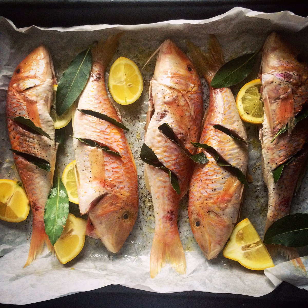 Red mullet, lemon &amp; bay looking too beautiful to cook
