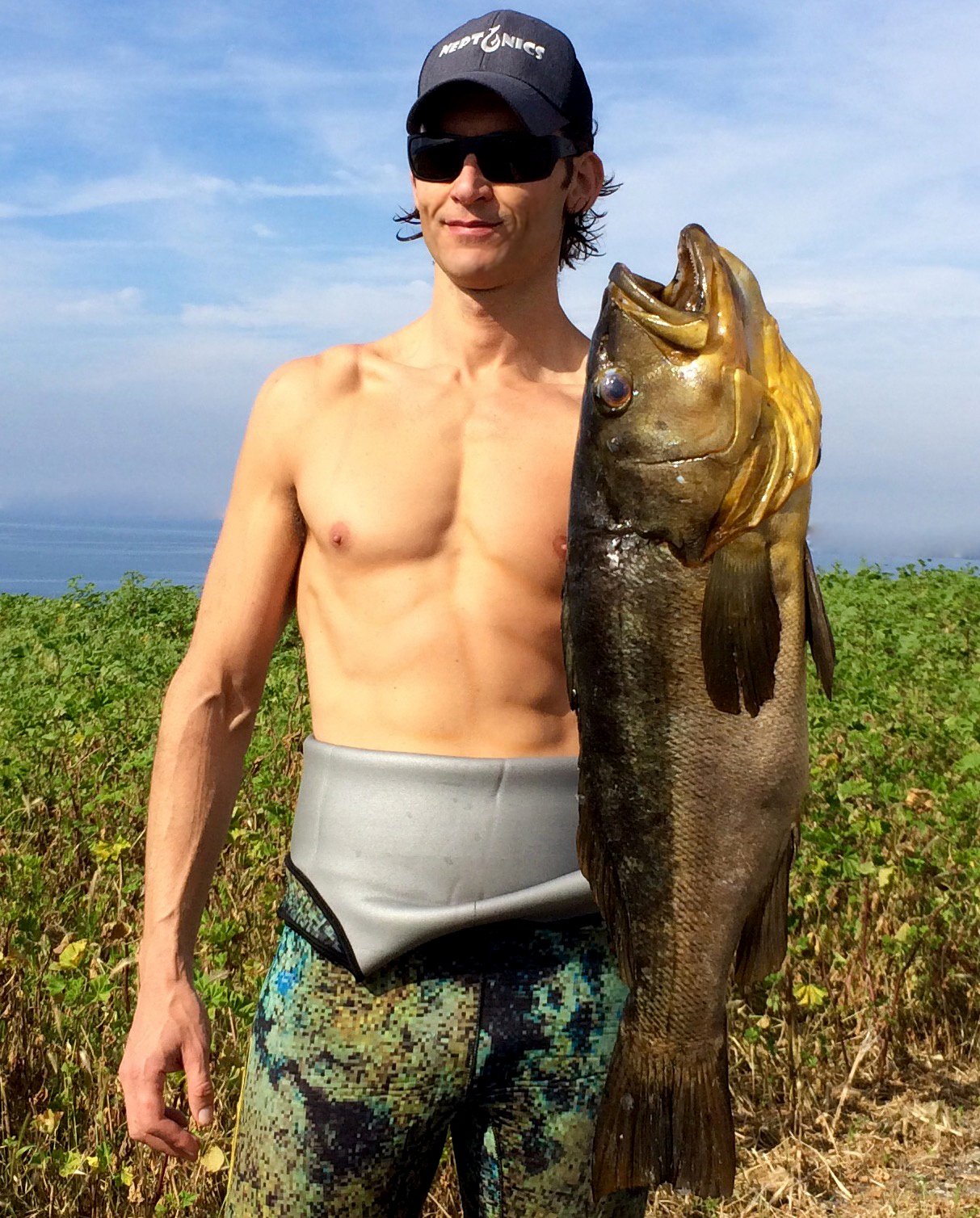 Tanc Sade on X: 9lb Calico Bass #spearfishing in #SoCal. Cooked