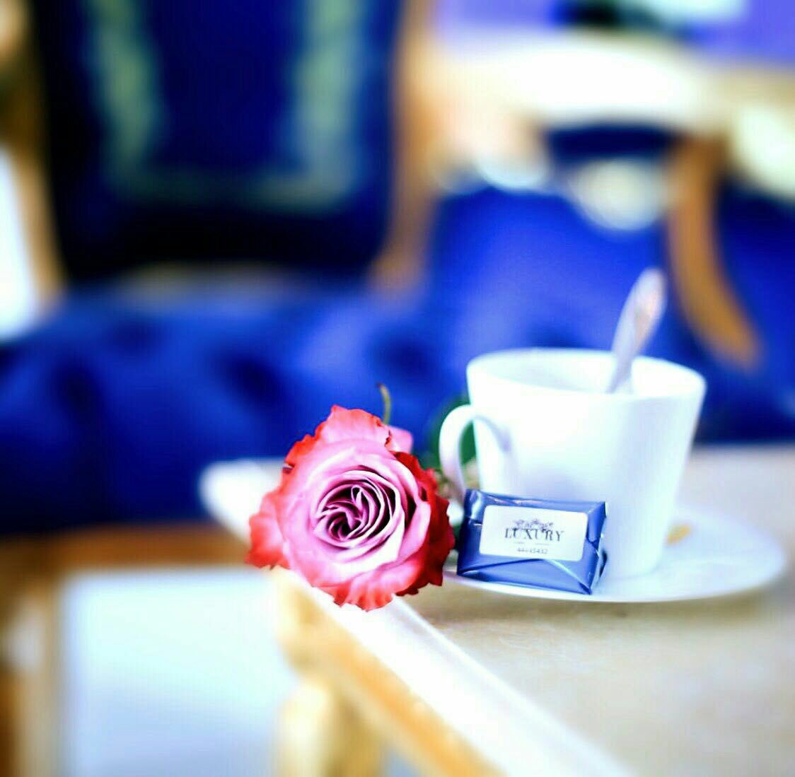MOOM33310's tweet photo. 🍃🌺🌺🍃
اللهم أرزقنآ حلو آلحيآة 🌺 وخير آلعطآء
وسعة آلرزق 🍃 ولبآس آلعآفية ..
مساء الخيرر..☕️ https://t.co/xCz4fyFC4Q