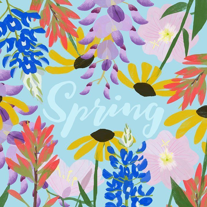 catcitycreative's tweet photo. Happy first day of spring! I can't for all the wildflowers to make their appearance. #kyle… https://t.co/a5rNznKR5j https://t.co/rD7QvjFLSa