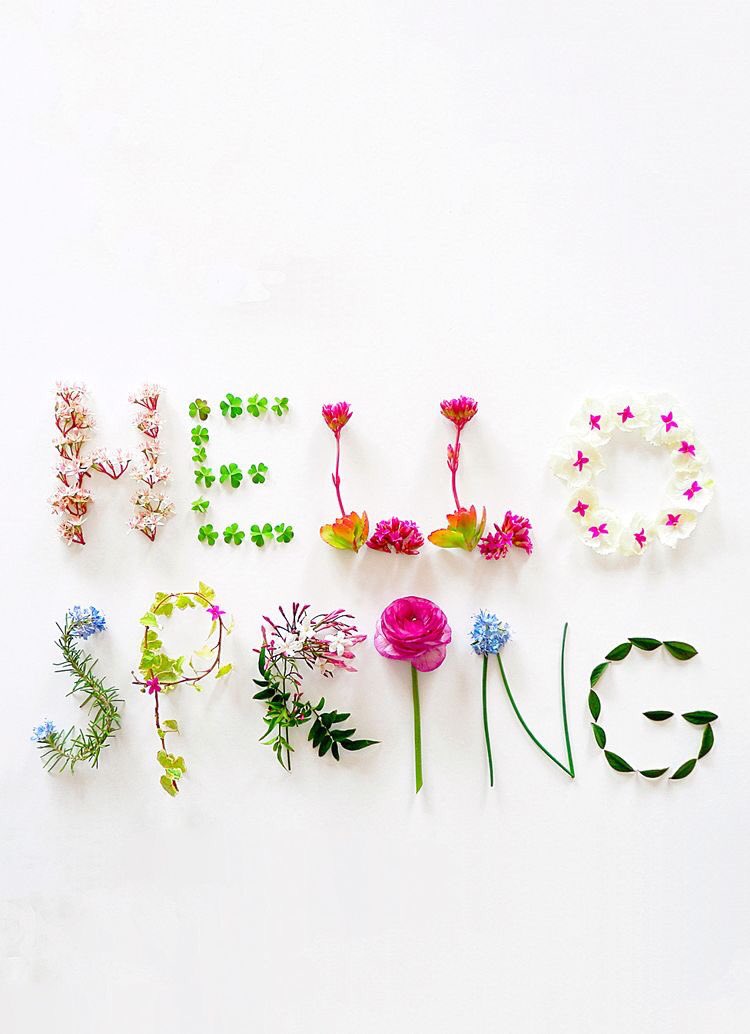 stems_petals's tweet photo. It's officially #Spring ! 💐 #prom is quickly approaching, keep us in mind for your Prom 2017 #flowers ! https://t.co/eAWwAaOBvh