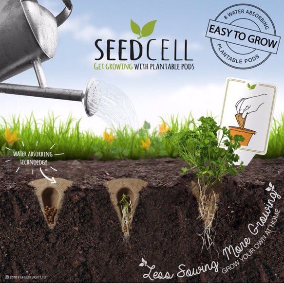 GrowSowSimpleUK's tweet photo. #DidYouKnow #Basil is good for your health? The herb can lower stress, regulate circulation &amp; protect the body from bacteria 🌿#SeedCell https://t.co/3pVHZDXSaa