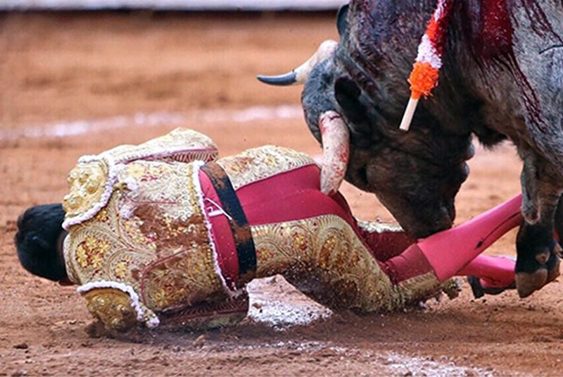 larazon_es's tweet photo. La tremenda cornada en el ano al diestro Antonio Romero en la Monumental de México https://t.co/hPxneizOCi https://t.co/vsxCe7LUiV